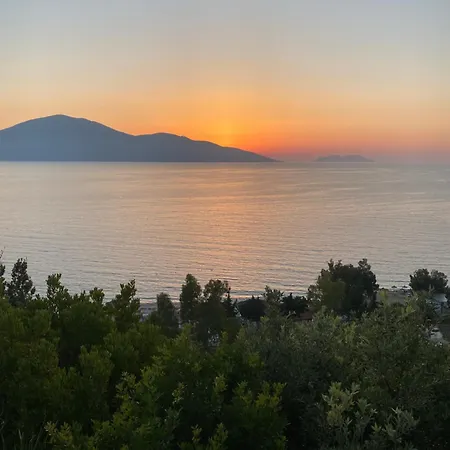 Sunset *