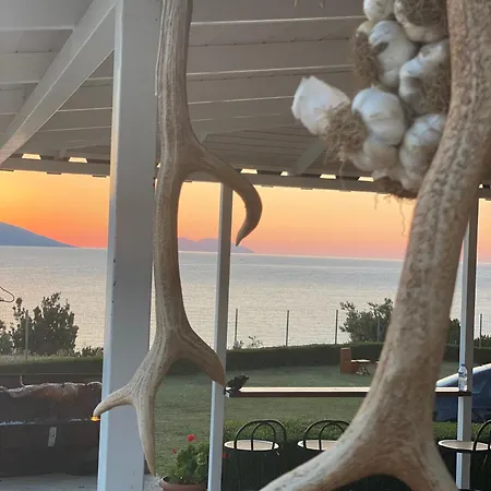 Lejlighed Sunset *